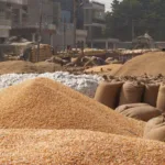 रतलाम मंडी में गेहू बेचने आये युवक की मृत्यु , ह्रदयघात की सम्भावना