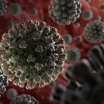 इंदौर में रिकवरी रेट 64% पहुंचने पर डॉ. हर्षवर्धन ने जताई खुशी