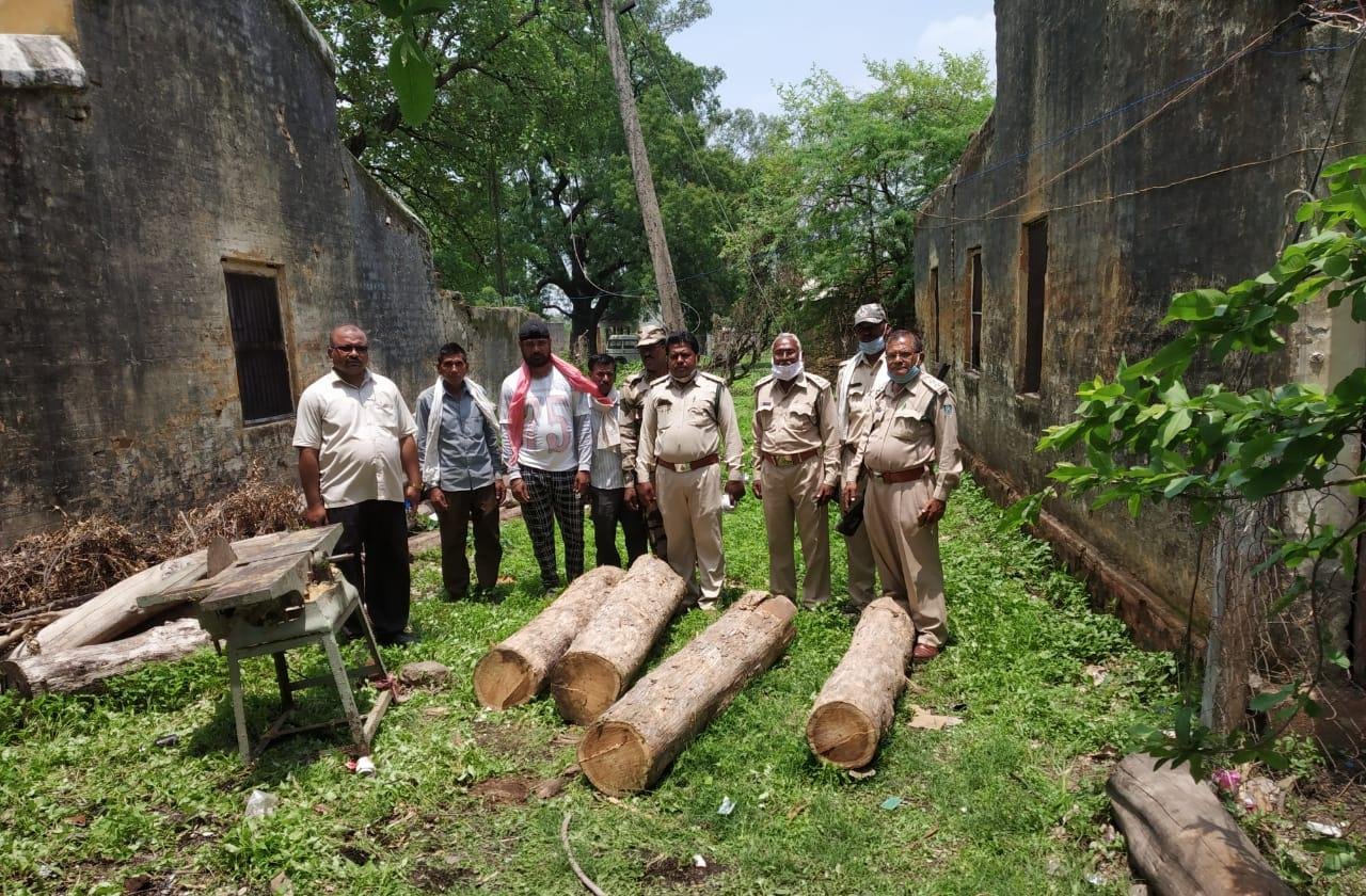 देवास : मुखबिर की सूचना पर वन परिक्षेत्र पानीगांव के अंतर्गत गुड़बेल में वन अमले ने दी दबिश