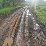 झाबुआ : इस गांव में अधुरी पडी सुदुर सड़क ग्रामीणों के लिये बनी मुसीबत