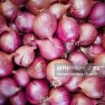 कांदा / प्याज : आम लोगो की पहुच से दूर होता प्याज, सरकार की लचर व्यवस्था का परिणाम