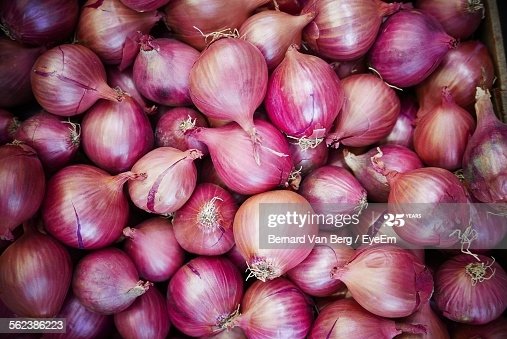 कांदा / प्याज : आम लोगो की पहुच से दूर होता प्याज, सरकार की लचर व्यवस्था का परिणाम