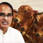 मप्र में गौ केबिनेट गठित, गोपाष्टमी के दिन होगी पहली बैठक