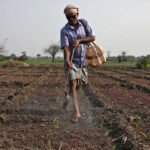 सीहोर : किसानों को 5 दिनों के मौसम को देखते हुये कृषि कार्य करने की सलाह