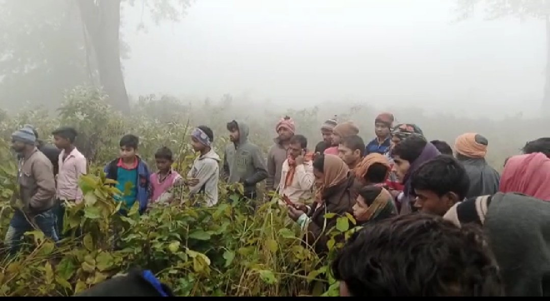 उत्तरप्रदेश : महाराजगंज के पुरन्दरपुर थानाक्षेत्र के जंगल में मिला 12 वर्षीय बालिका का शव, रेप के बाद हत्या की आशंका