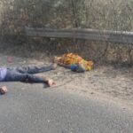 देवास : इंदौर-बैतूल नेशनल हाइवे पर अंधगति से दौड़ते डंपर बन रहे यमदूत, गति पर नही कोई अंकुश