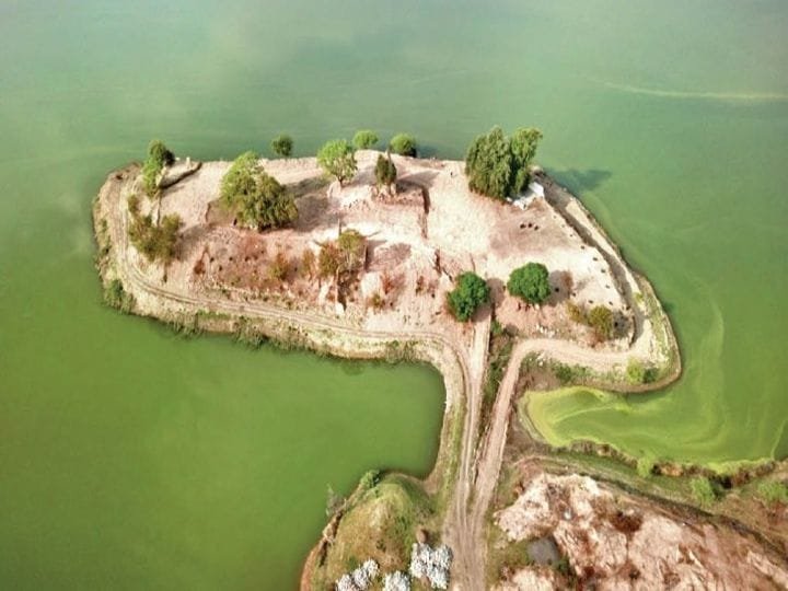 मंदसौर : गाँधी सागर के बैकवाटर में बन रहें सुंदर "टापू", पर्यटन के क्षेत्र में नया अवसर