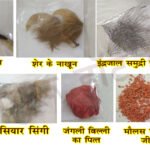 रतलाम : पटवा जी की दुकान तथा एक अन्य पर वन विभाग का छापा, कोर्ट ने रिमांड पर भेजा