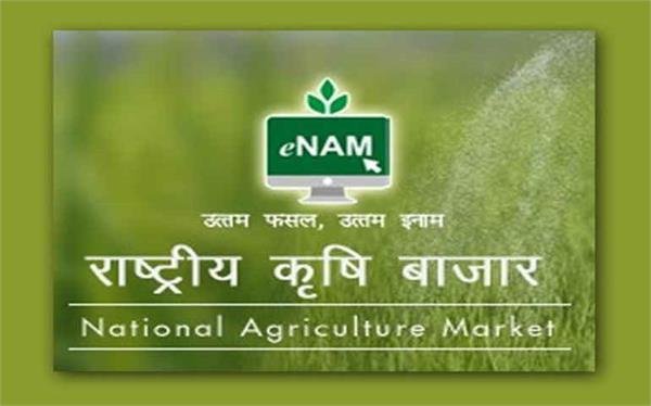 मध्यप्रदेश : ई-नाम में शामिल होंगी प्रदेश की सभी मंडियाँ-प्रियंका दास