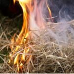 बिहार : बिहार के अररिया में भुट्टा भून रहे छह बच्चे जिंदा जले