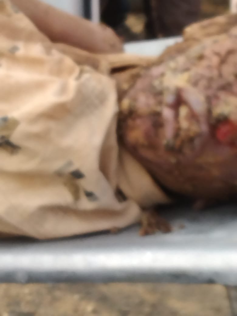 रतलाम : दोस्तो ने ही हत्या कर शव खदान में गाड़ा, दो नाबालिग गिरफ़्तार