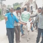 रतलाम : उपसरपंच को गधे पर बैठा कर घुमाया गाँव में, अनूठा टोटका