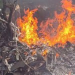 हेलीकॉप्टर क्रेश : देश के पहले CDS जनरल बिपिन रावत नहीं रहें, पुष्टि हुई। हेलीकॉप्टर हादसे में हुई दुःखद मृत्यु