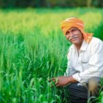 मध्यप्रदेश में किसान की आय दुगुनी होने की वजाय हुई कम, कांग्रेस ने माँगा कृषिमंत्री का इस्तीफा