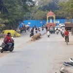 रतलाम : विकास के नाम पर बनी सड़के, लोगो के लिए दुर्घटना का भय बनी, जिम्मेदार बने हुए अनजान