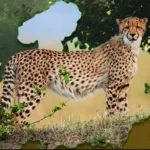 कूनो में चीतों की मौत के कारण हटाए गए PCCF वन्य प्राणी जेएस चौहान