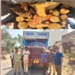 दाहोद : फतेपुरा तहसील वन विभाग द्वारा अवैध रूप से लकड़ी की तस्करी कर लाखों का माल बरामद किया